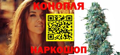прущие крисы Балаково